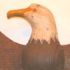 eagle-tinwings