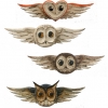 flying-owlfaces